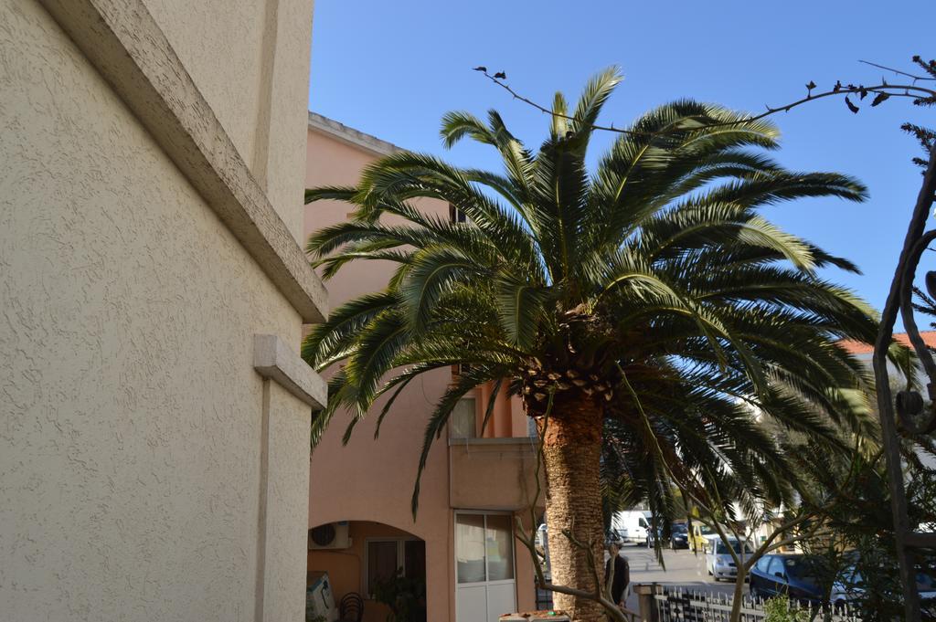 Maslina Guest house