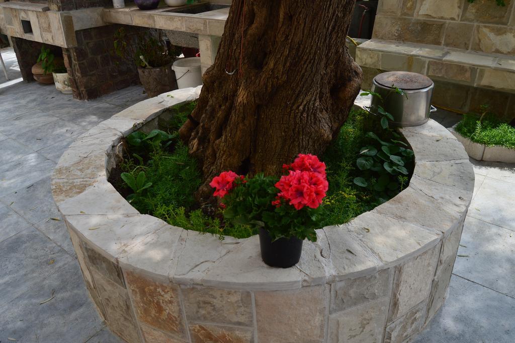 Guest house Maslina