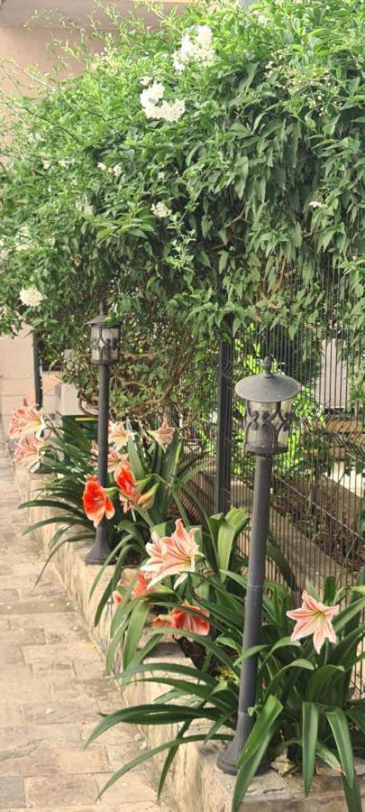 Maslina Guest house
