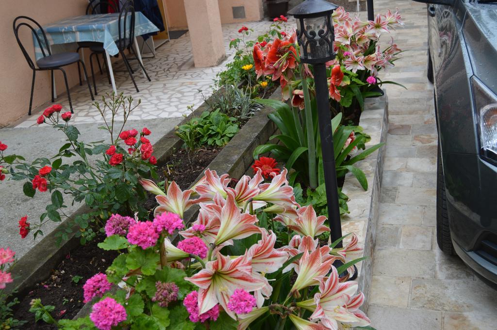 Guest house Maslina