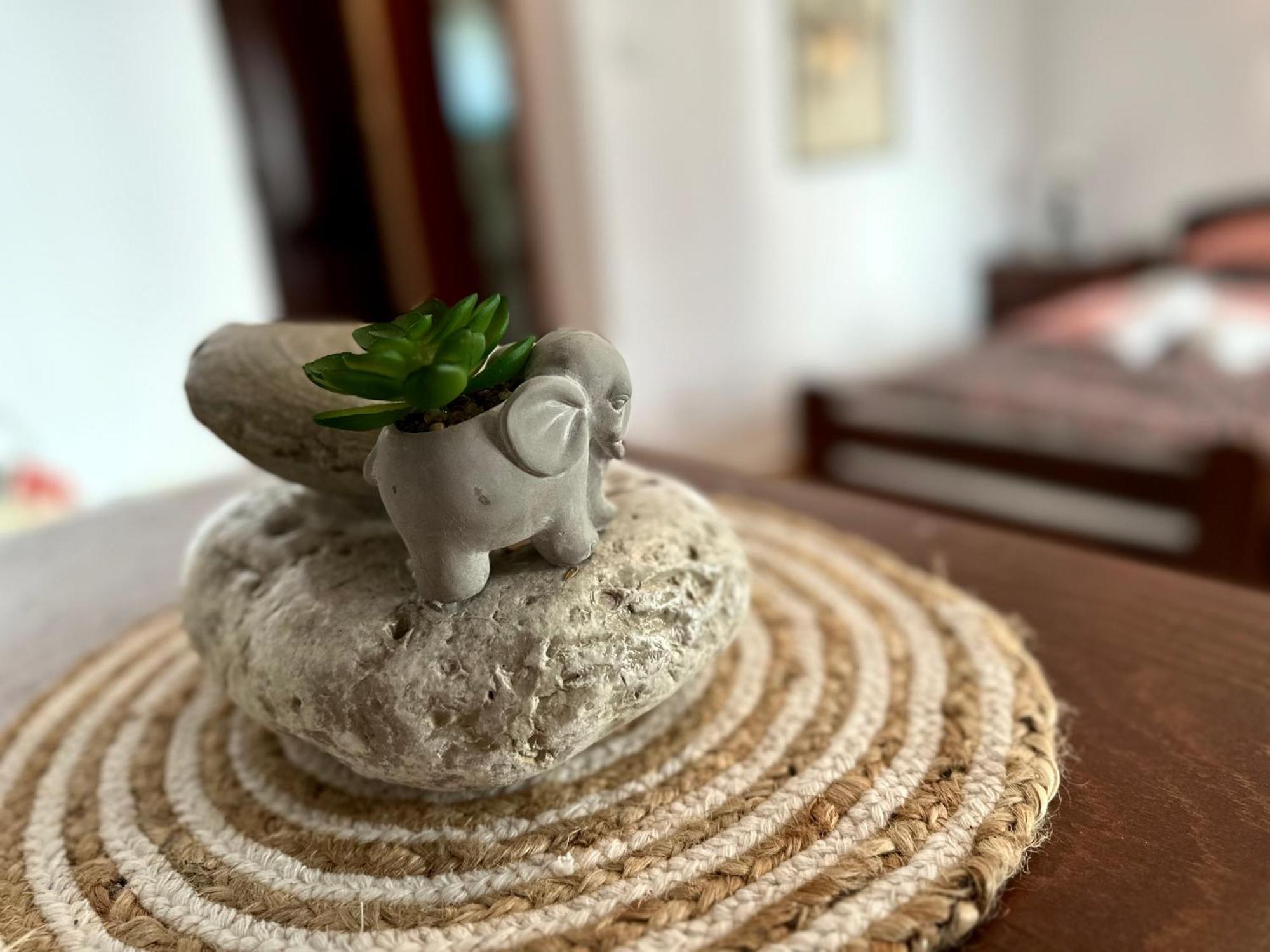 Maslina Guest house