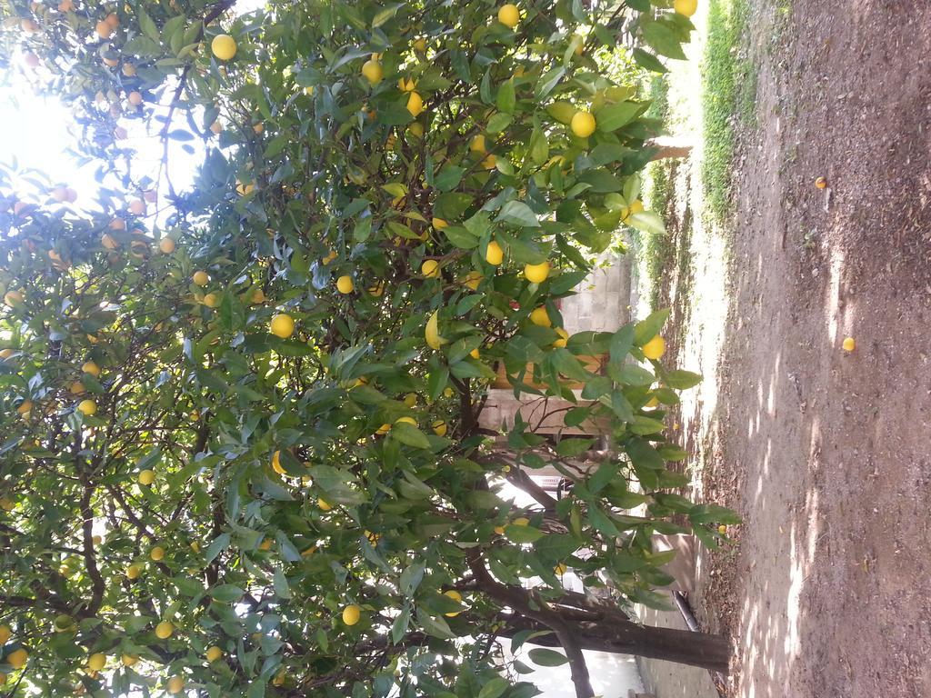 Maslina Gasthof 3*