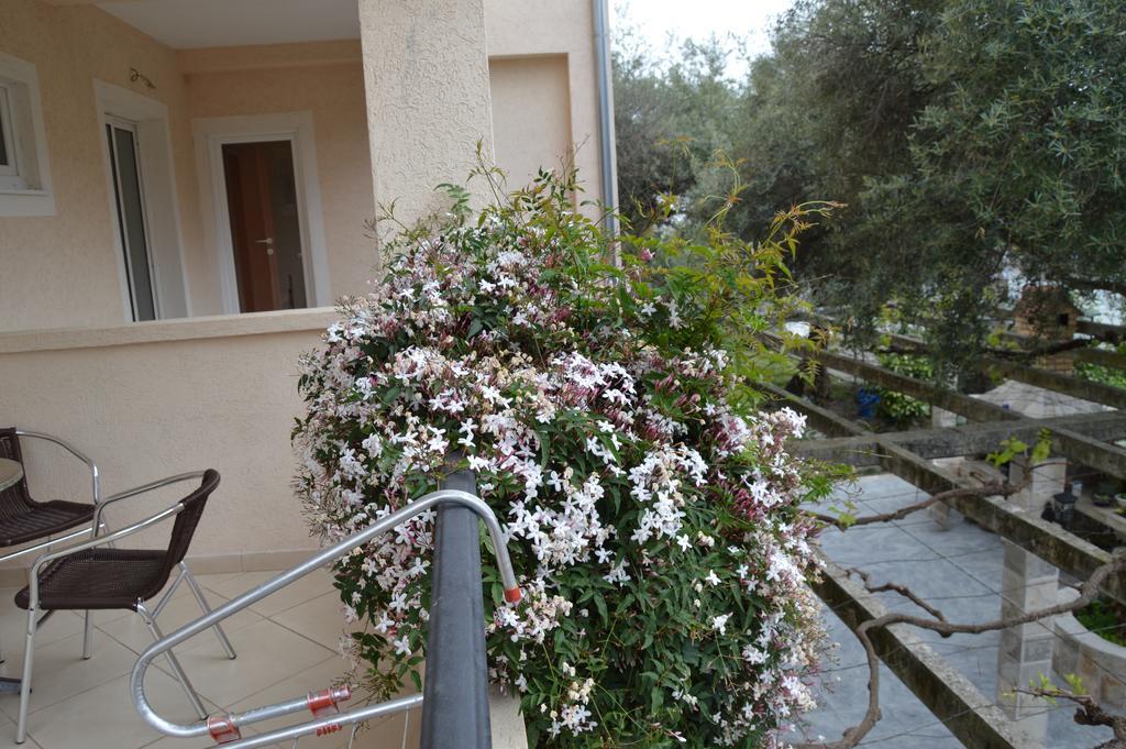 Maslina Gasthof Budva